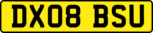 DX08BSU