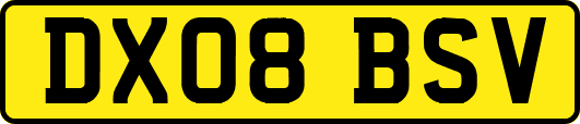 DX08BSV