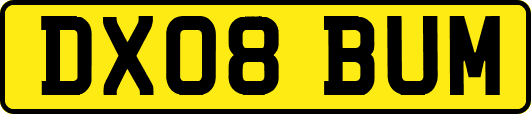 DX08BUM