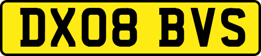 DX08BVS