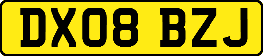 DX08BZJ