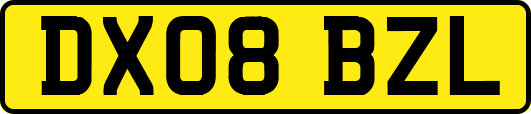 DX08BZL