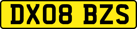 DX08BZS