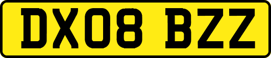 DX08BZZ