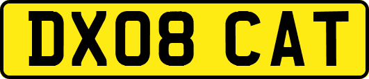 DX08CAT
