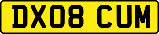 DX08CUM