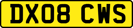 DX08CWS
