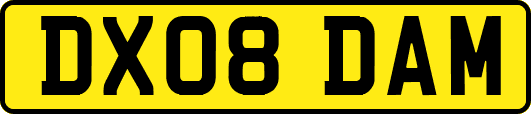 DX08DAM