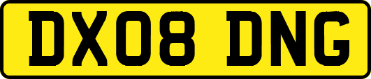 DX08DNG