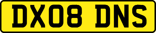 DX08DNS