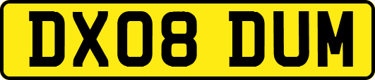 DX08DUM
