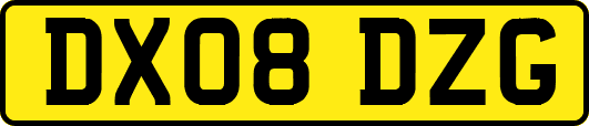 DX08DZG