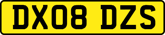 DX08DZS