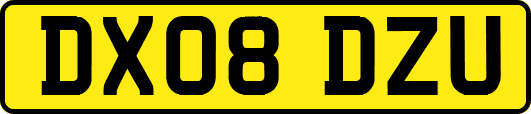 DX08DZU