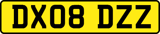 DX08DZZ