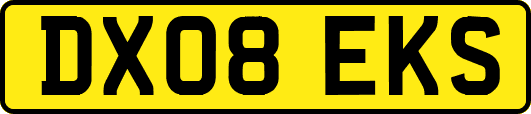 DX08EKS