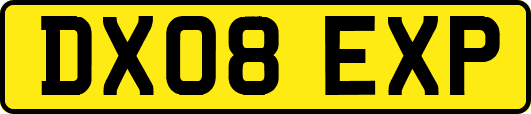 DX08EXP