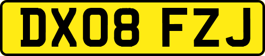 DX08FZJ