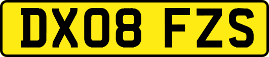 DX08FZS