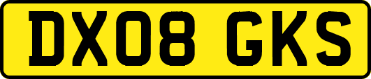 DX08GKS
