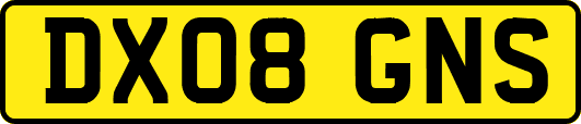 DX08GNS