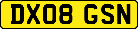 DX08GSN