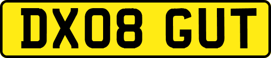 DX08GUT