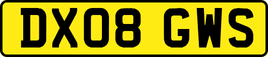DX08GWS
