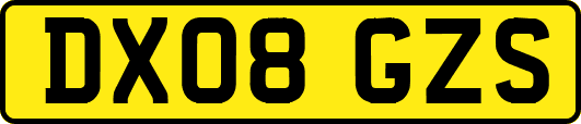 DX08GZS