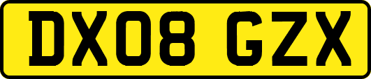 DX08GZX