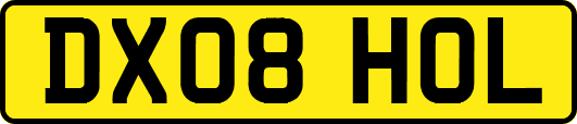 DX08HOL
