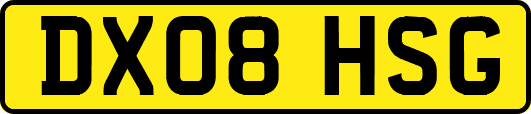 DX08HSG