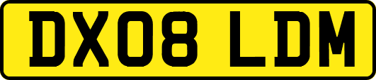 DX08LDM