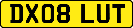 DX08LUT