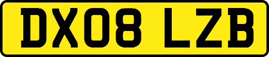 DX08LZB