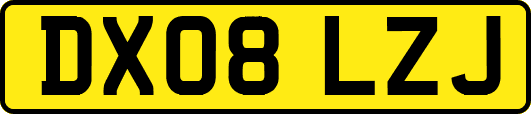 DX08LZJ