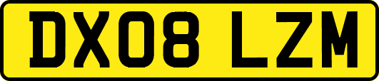 DX08LZM