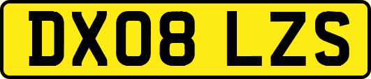 DX08LZS