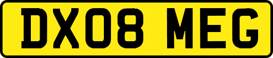 DX08MEG