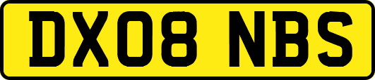 DX08NBS