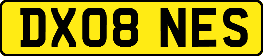 DX08NES