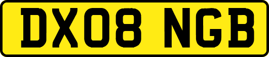 DX08NGB