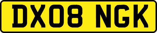 DX08NGK