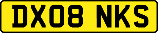 DX08NKS
