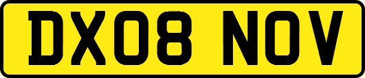 DX08NOV
