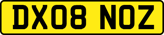 DX08NOZ