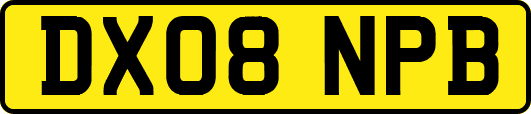DX08NPB
