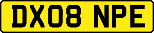 DX08NPE