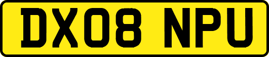 DX08NPU