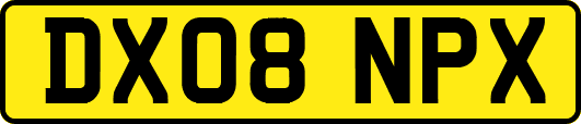 DX08NPX